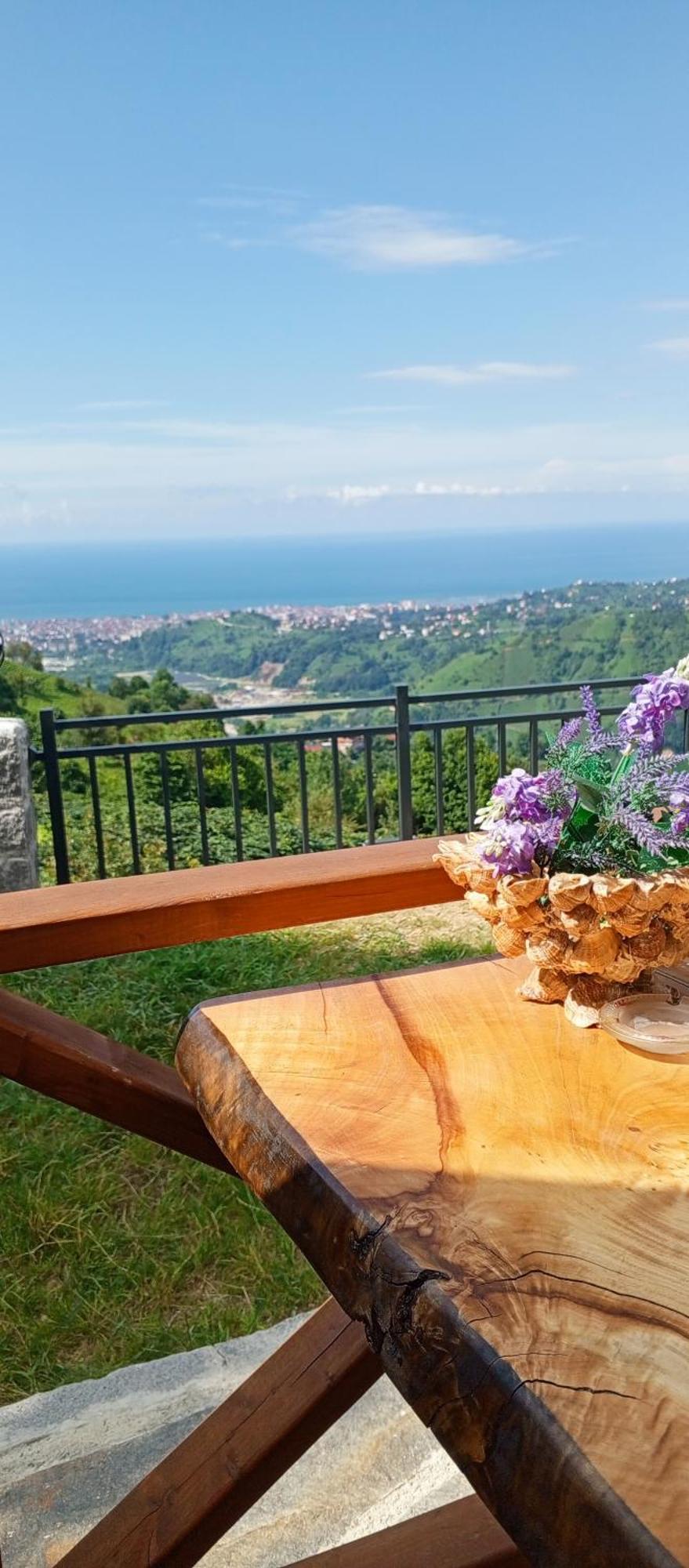 Cort de lux Tenta Rize